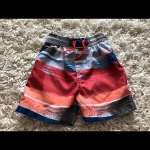 Tea Collection Swim Trunks